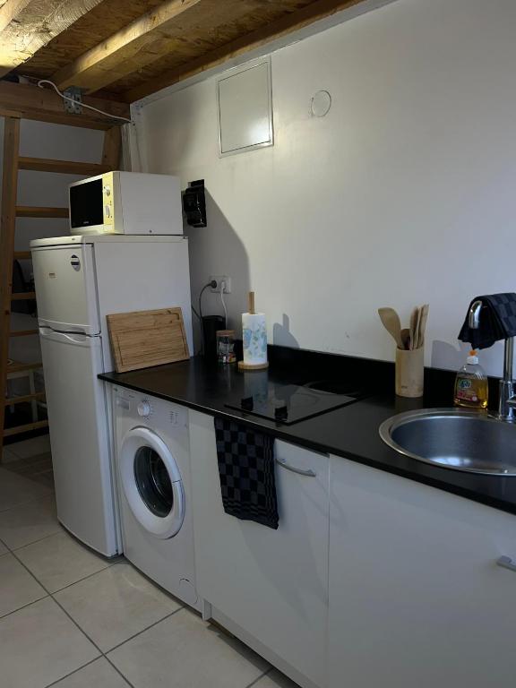 cocina con lavadora y fregadero en Studio cosy avec mezzanine, en La Verrière