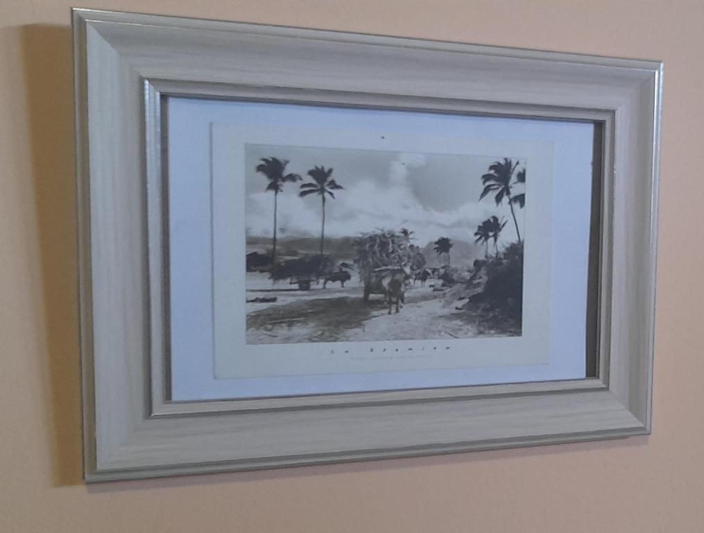 a framed picture of cattle and palm trees on a wall at Chambre diamants in Saint-Pierre