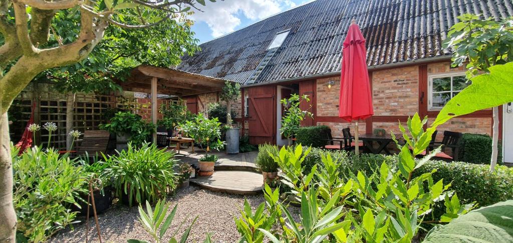 Zahrada ubytování Aplagårdens vingård