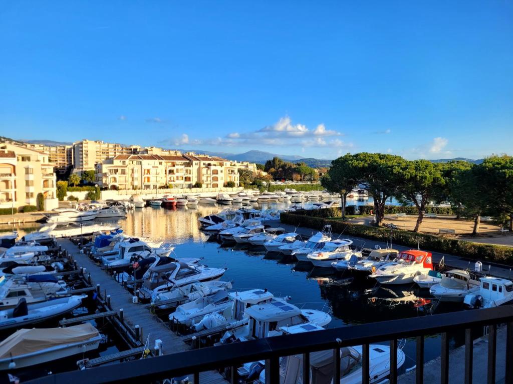 a bunch of boats docked in a harbor at Le Masters in Mandelieu-la-Napoule