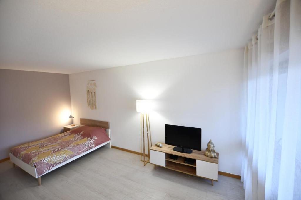 une chambre avec un lit et une télévision à écran plat dans l'établissement Cocon & Cosy Annecy, à Annecy