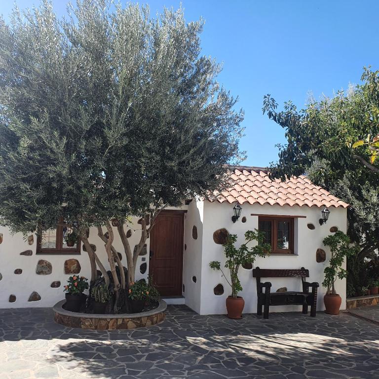 a house with trees in front of it at La Gallania de Papá Pepe in Santa Lucía