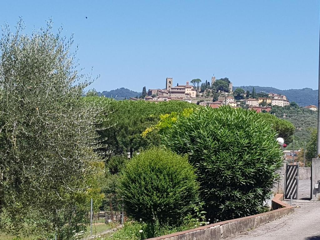 een stad op een heuvel met struiken en bomen bij Decameron in Borgo a Buggiano