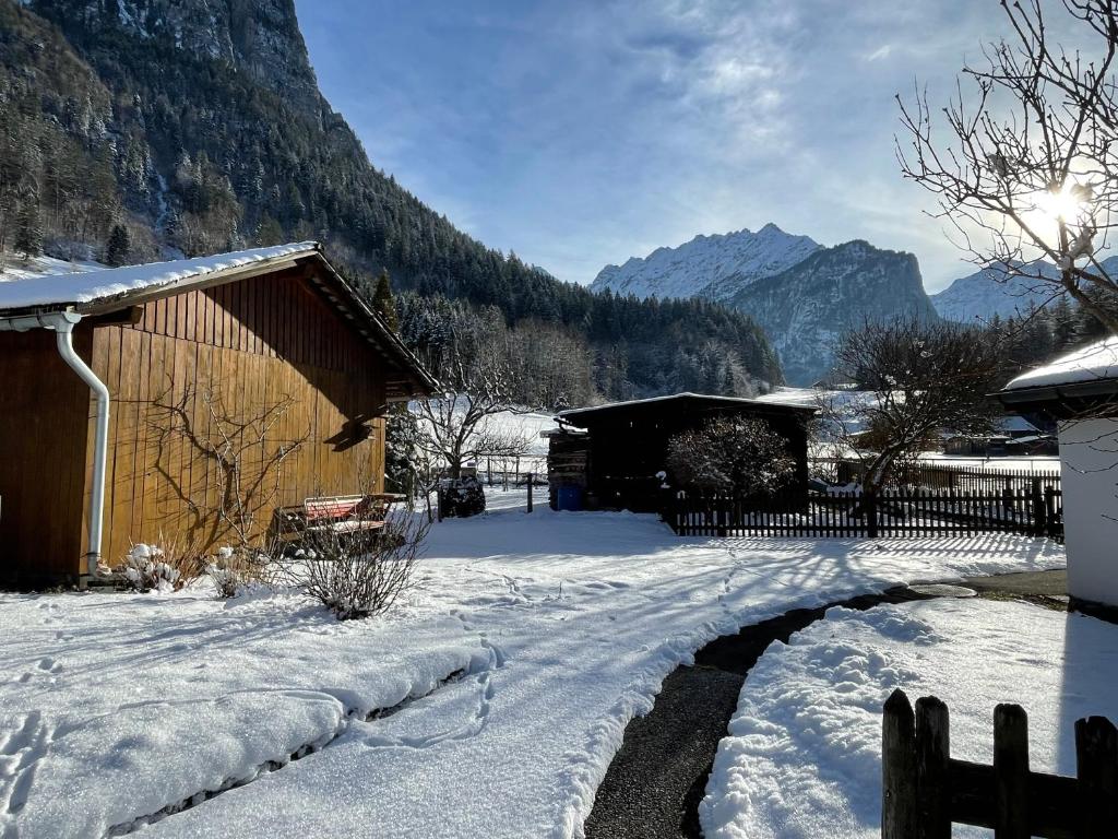Příroda nedaleko apartmánu