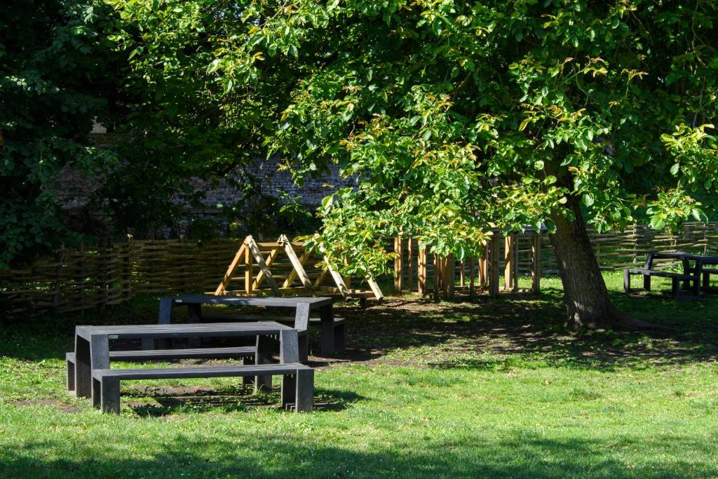a picnic table and bench under a tree in a park at La Domus Lemaitre 1, plain-pied, Wifi , TV, parking, jardin 