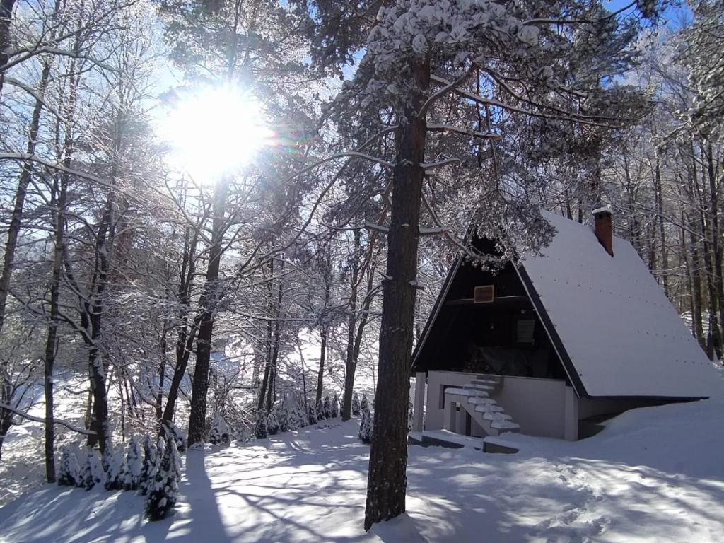 eine Hütte im Wald mit Schnee auf dem Boden in der Unterkunft VILA MAGDA in Divčibare