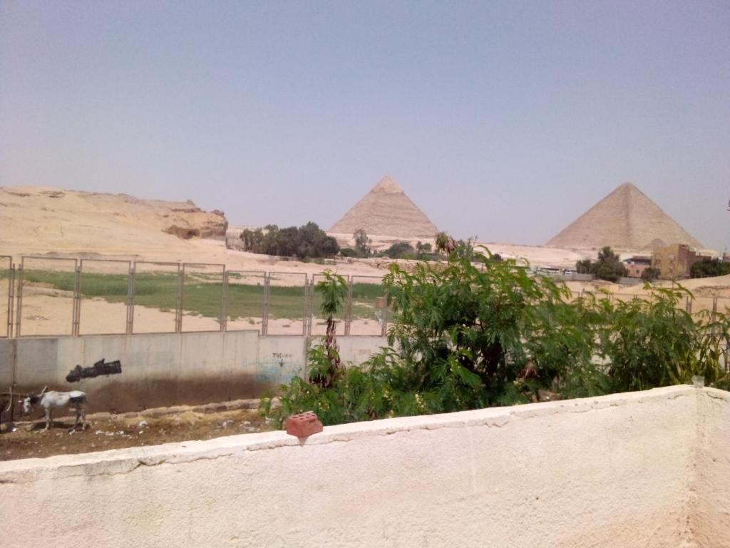 una vista delle piramidi di Giza da un muro di Anita view hotel a Il Cairo