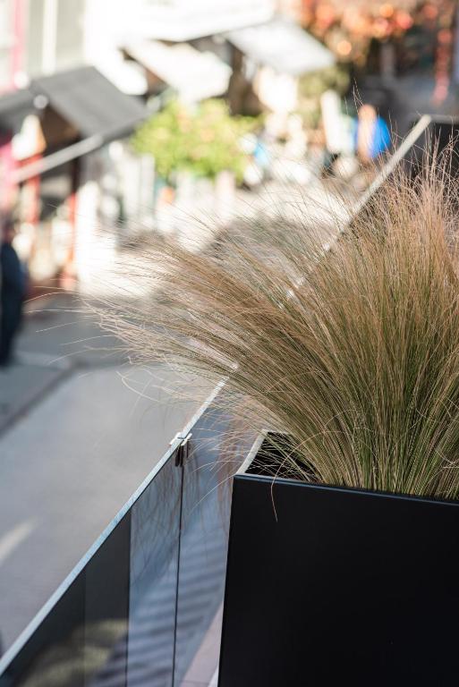 Maison7 - Acropolis - Resim 35