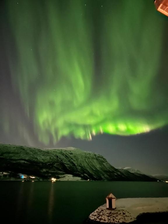 an aurora over a body of water with a building at Malangen Arctic Sealodge Cabin 10 in Meistervik