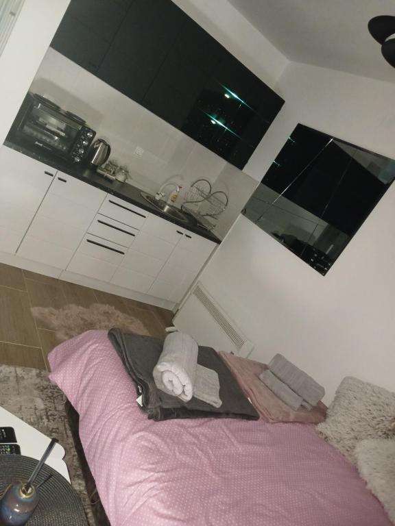 A kitchen or kitchenette at Studio D&N Jezero