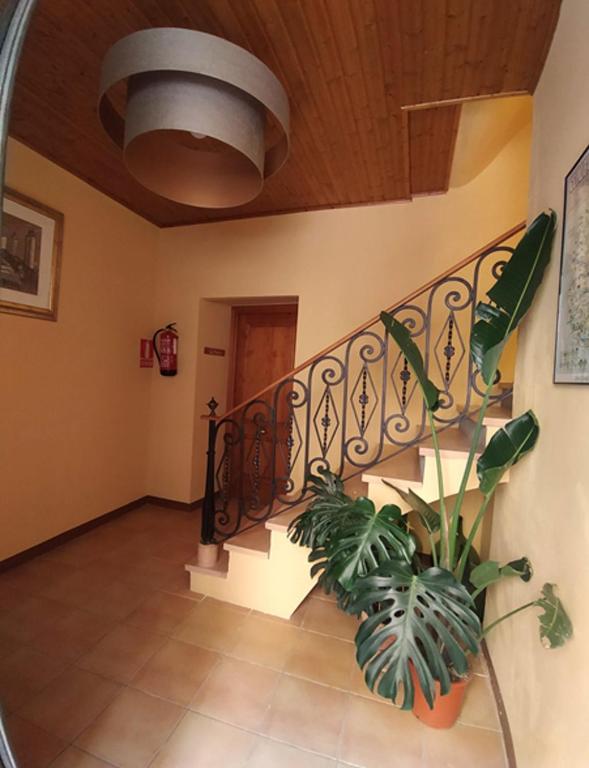 Fotografie z fotogalerie ubytování Apartaments Falset v destinaci Falset