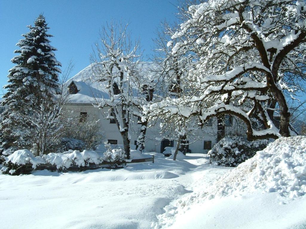 un patio cubierto de nieve con árboles y una casa en Steiner Stammhaus, en Vorderstoder