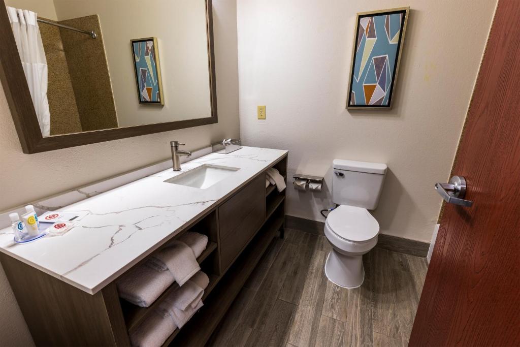 Comfort Inn & Suites New Iberia - Avery Island - Error