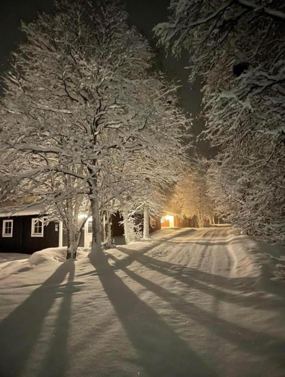 Åreskutans lägenhet i Huså - med laddning för bil 22 kw