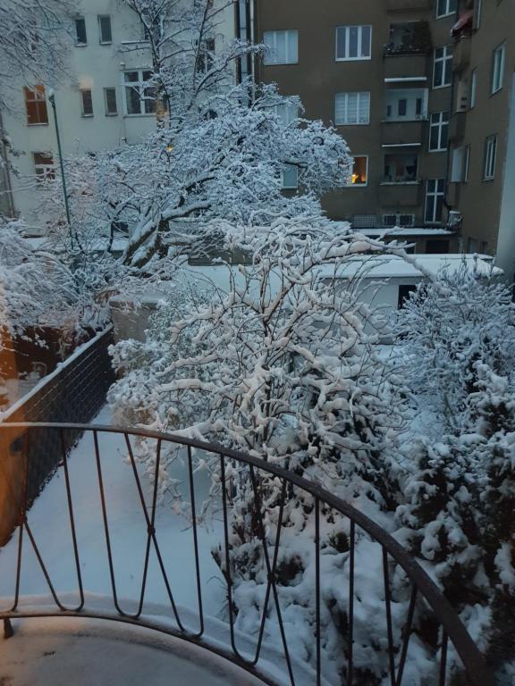 un árbol cubierto de nieve junto a un balcón en Modern apartment cologne, en Colonia