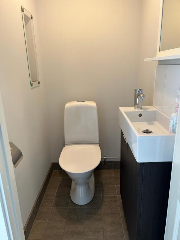 Koupelna v ubytování Villa Persås