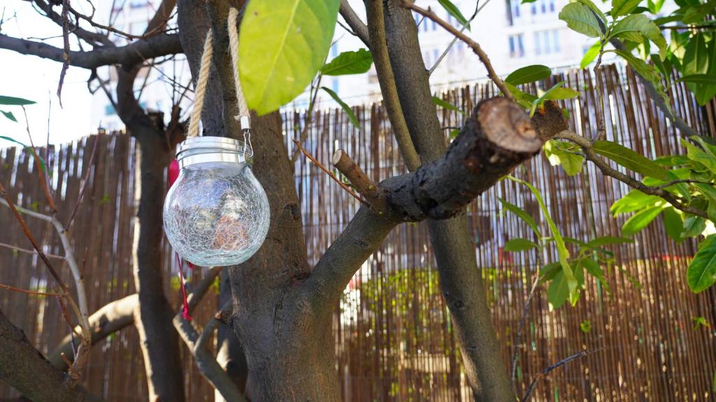 Fotografie z fotogalerie ubytování KoalaWakeup v destinaci Vitry-sur-Seine
