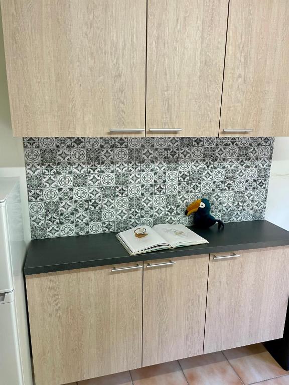 a kitchen counter with a book and a penguin on it at Le Toucan Tropical, F2 bis emplacement central in Fort-de-France