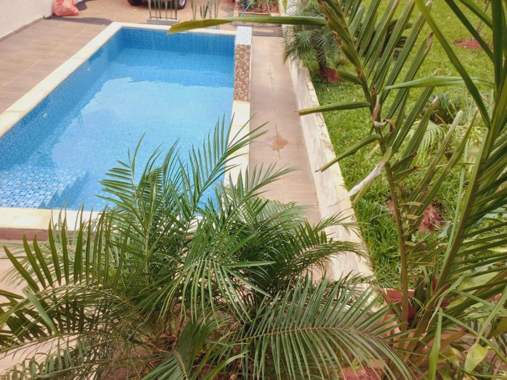 Bazén v ubytování La Piña Dorada nebo v jeho okolí