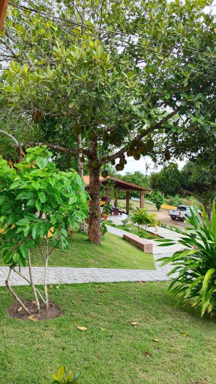 a park with a tree and a walking path at Pousada Chácara Pau - Brasil in Lagoa Sêca
