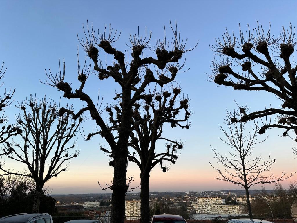 a group of trees with birds perched on them at Location saisonnière Angoulême in Angoulême