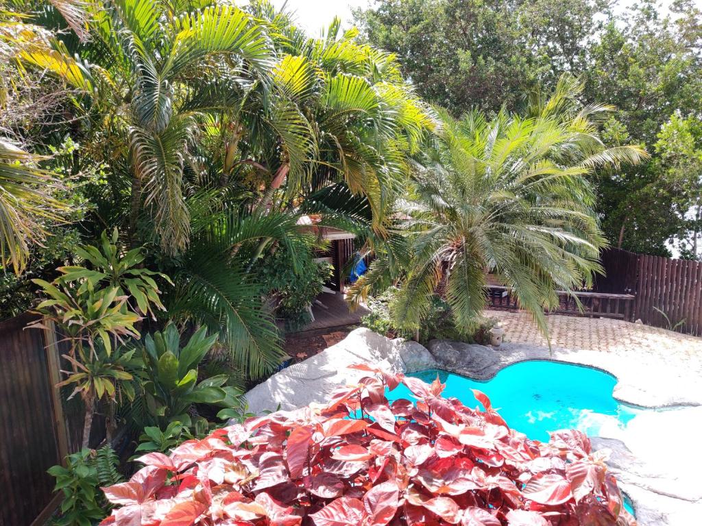 Zahrada ubytování 45 Villa la Cherry bord de mer