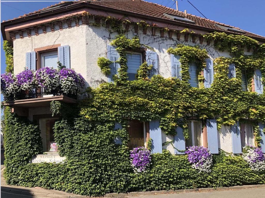 un edificio con flores a un lado. en Comfortable accommodation in middle of a winery 