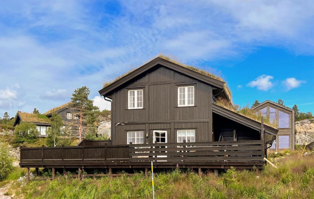 a black house with a grass roof at 4 Bedroom Amazing Home In seral in Åseral