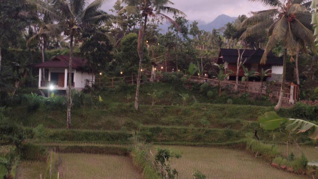 Zahrada ubytování Nea Cottage Lombok