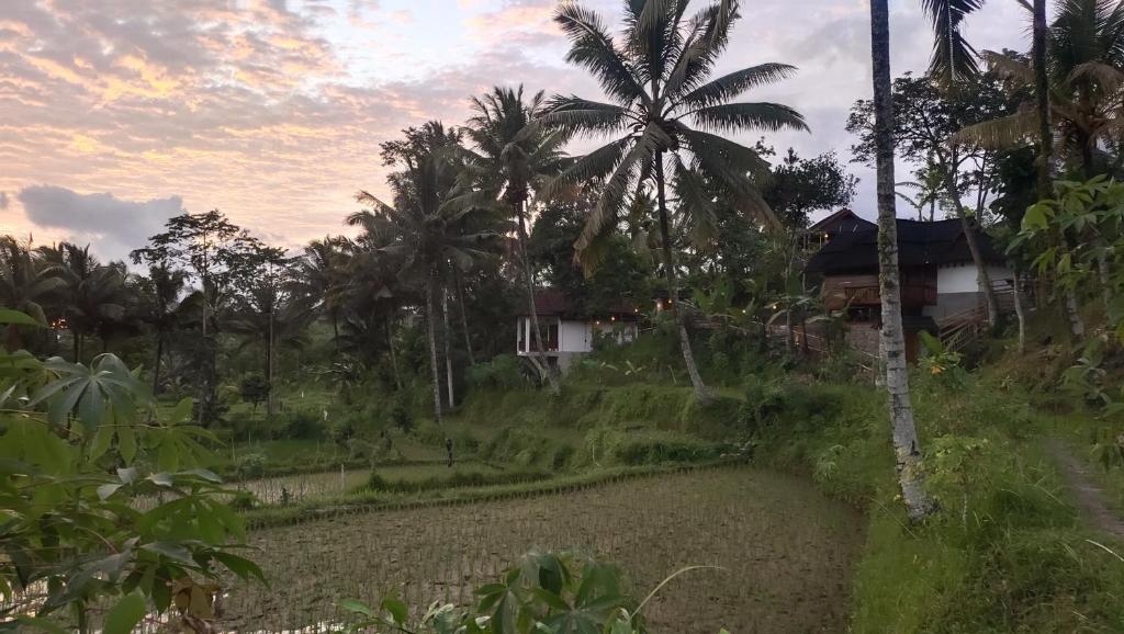 Zahrada ubytování Nea Cottage Lombok