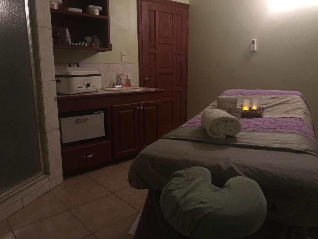 Kuchyň nebo kuchyňský kout v ubytování Compassionate Touch Spa & Accommodation