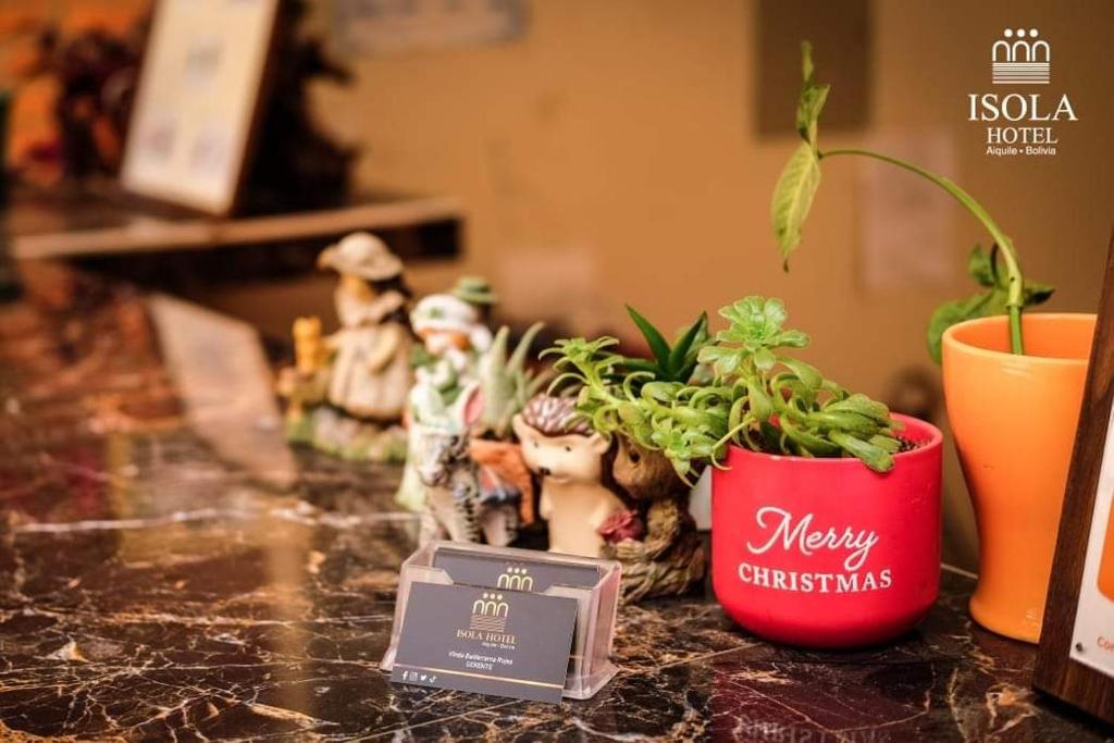 a potted plant on a counter next to a plant at Hotel Isola by Aiquile in Aiquile