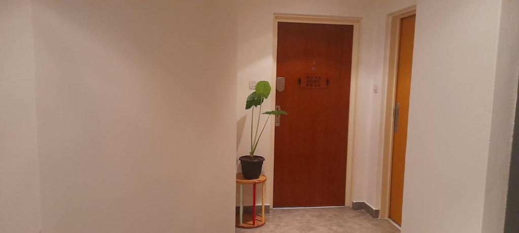a plant sitting on a stand next to a door at Gavilán Apartment in Buenos Aires