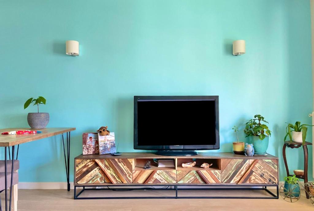 - une télévision installée au-dessus d'un centre de divertissement dans l'établissement Palm Beach apartment, à Cannes