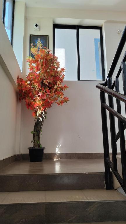 Fotografie z fotogalerie ubytování Masterkey Deluxe Rooms v destinaci Kakkanad