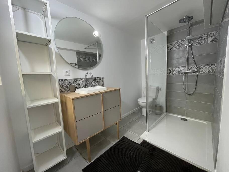 ein Bad mit einer Dusche, einem Waschbecken und einem Spiegel in der Unterkunft Les Maisons d'Auré: Le studio in Putanges