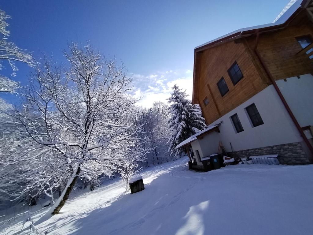 een huis bedekt met sneeuw naast een boom bij Susurul Apei Chalet in Porumbacu de Sus