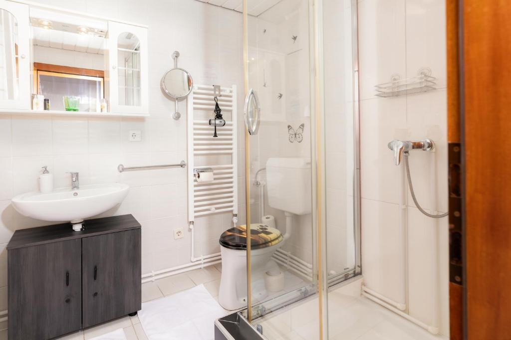 bagno con doccia, lavandino e servizi igienici di Gasthof Barlida a Lainach