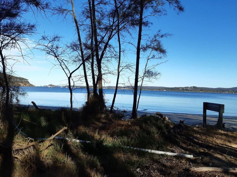 a beach with trees and a body of water at Bec's Beach House Getaway in Batemans Bay