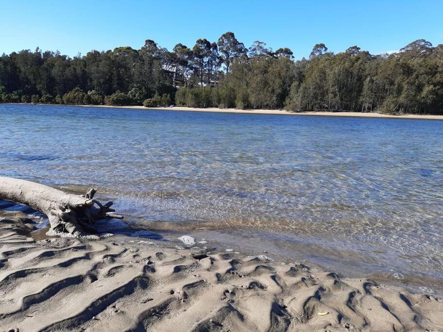 a log on the shore of a body of water at Bec's Beach House Getaway in Batemans Bay