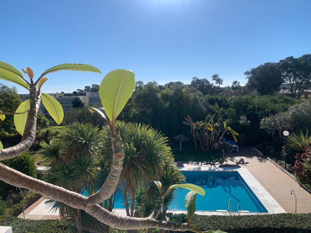 a view of a swimming pool with palm trees at Sotogrande Duplex near Polo, 2 terraces, 2 pools, full south, 7' drive to beaches and Port, 4 people in Sotogrande