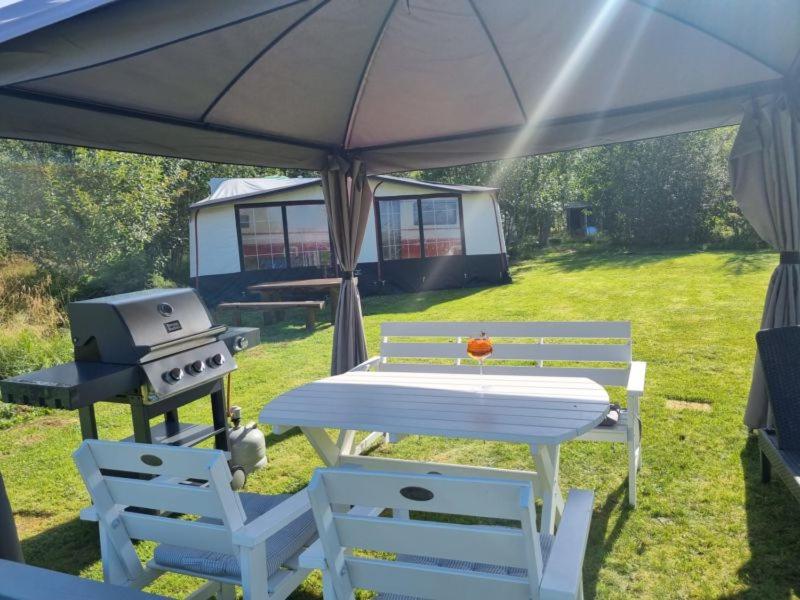 stół piknikowy i grill na podwórku w obiekcie Caravan at the Cottage House 
