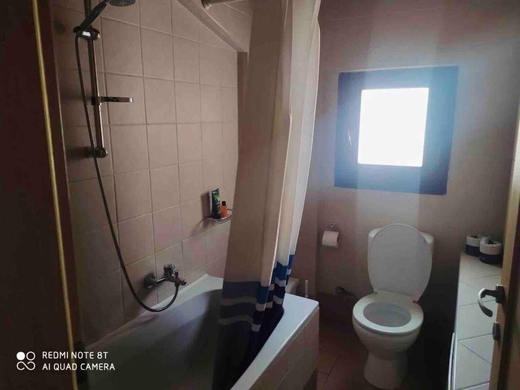 a bathroom with a toilet and a shower with a window at Casa del Sol in Arónion