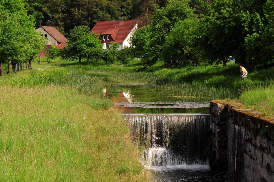 Příroda nedaleko hotelu