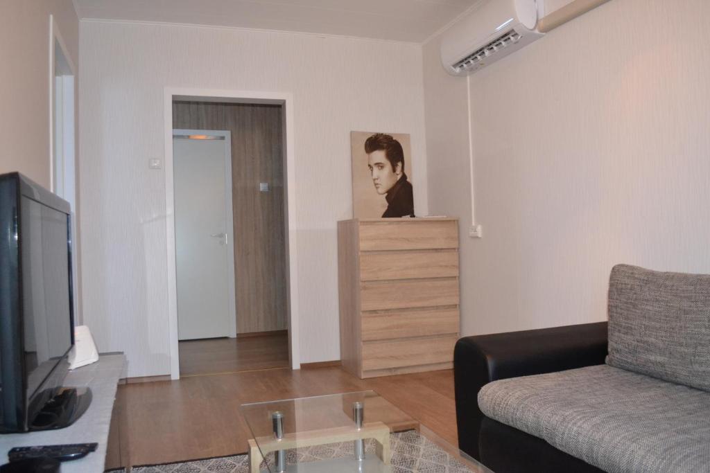 Erra Puiestee Apartment - Apartamento De Una Habitación