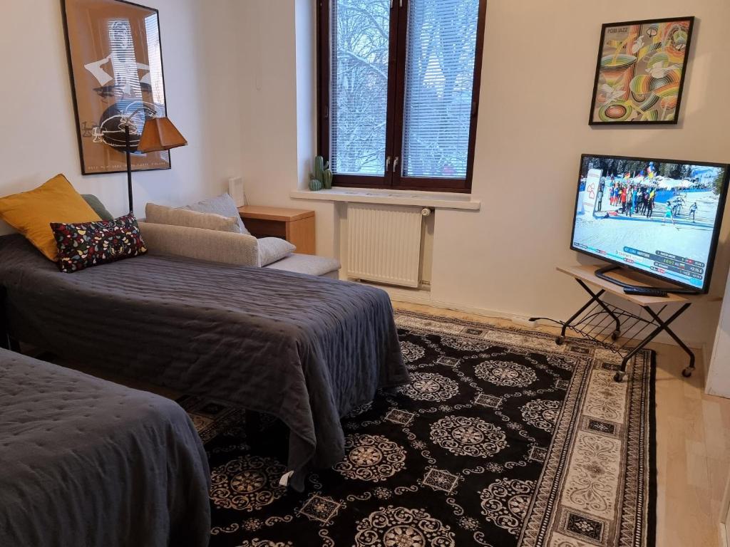 a living room with a bed and a flat screen tv at Studio Porin Karhu, home away home in Pori city center, free parking in Pori