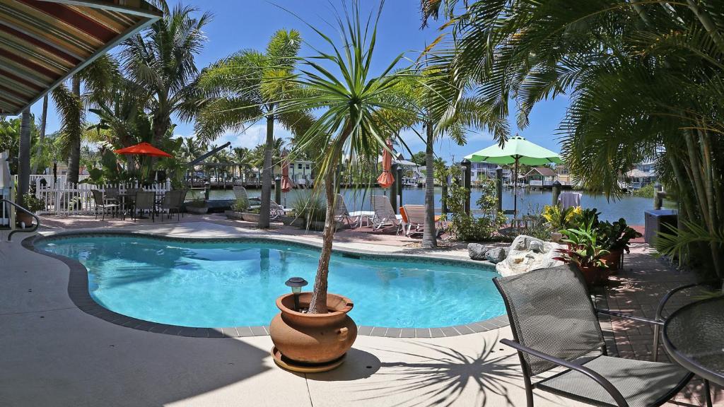 a swimming pool with a potted palm tree in a pot at Manatee Bay Inn in Fort Myers Beach