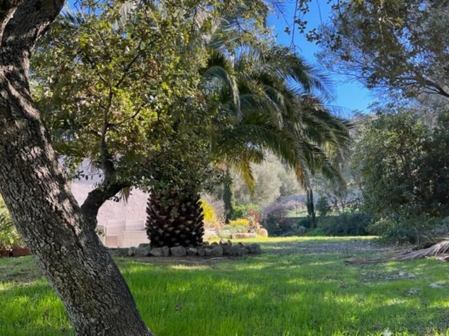 Maison Jardin d'Agrumes - Lozari