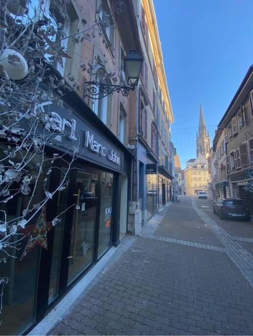 Esprit Jungle ........ au coeur de Mulhouse – photo 27