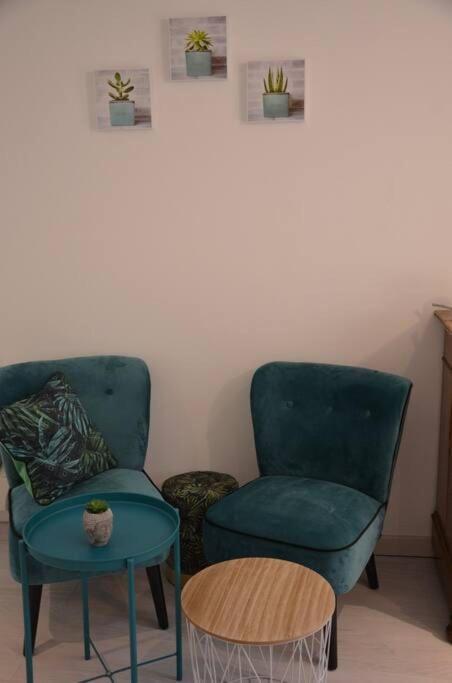 Esprit Jungle ........ au coeur de Mulhouse – photo 29